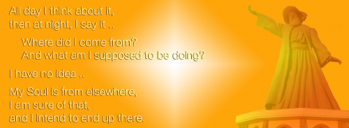 960x355_Yellow-Red_Rumi My Soul is from Elsewhere