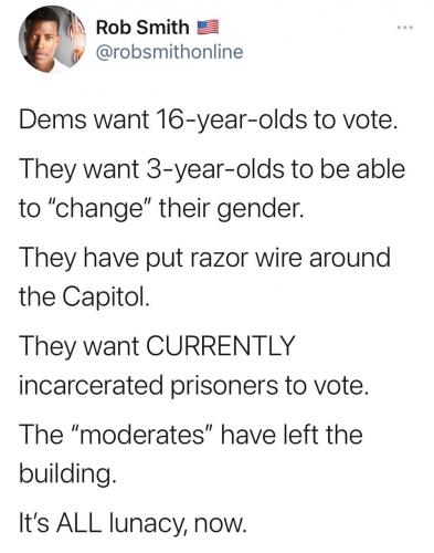 dems_ludicrous_modsLeft