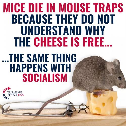 FB_IMG_1615413910788