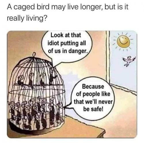 FB_IMG_1615087768455