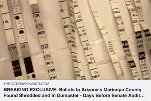 ArizonBallots_ShreddedInDumpster