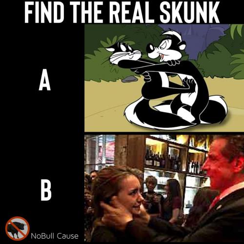 FindTheRealSkunk