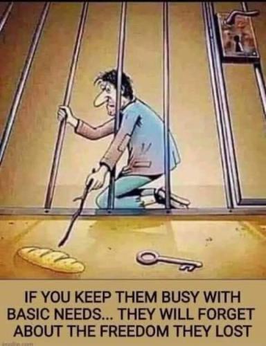 FB_IMG_1618627207313