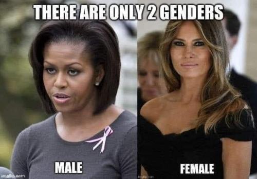 FB_IMG_1619236236965
