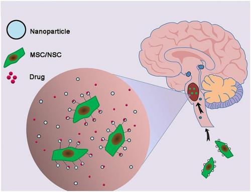 Nanoparticle_diagram