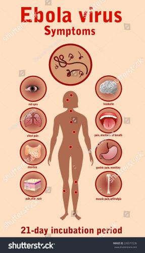 stock-vector-ebola-virus-disease-symptoms-226577236