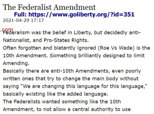 TheFederalistAmendment
