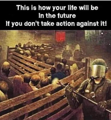 FB_IMG_1618235648900