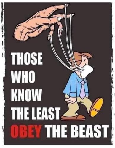 FB_IMG_1618235635223