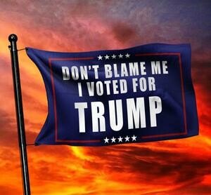 dont-blame-me-i-voted-for-trump