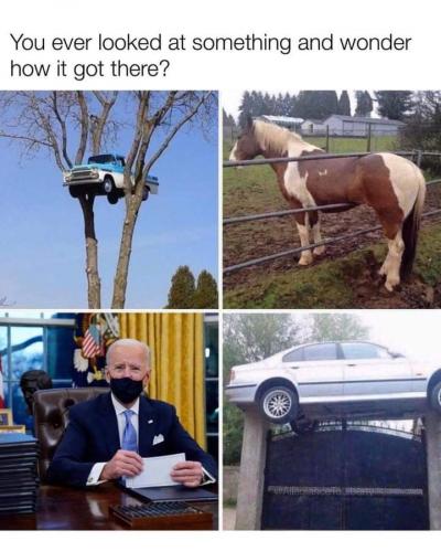 FB_IMG_1617936440177