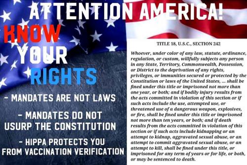 TRUMP.Q.KNOWYOURRIGHTS.