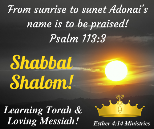 From the rising of the sun to its going downThe Lord’s name is to be praised. (3)