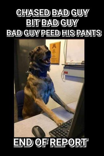 _K9