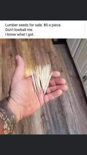 FB_IMG_1620792458344