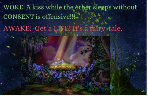 SleepingBeautyWOKE
