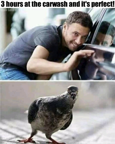 _afunny