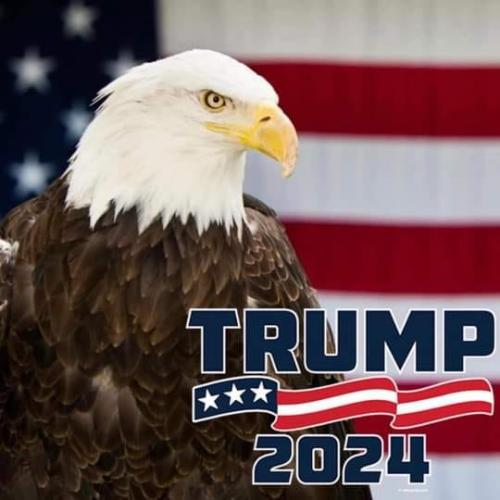 TrumpEagle_2024