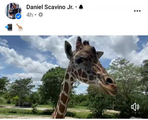 Screenshot_20210516-185232_Facebook_1