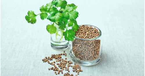 coriander-cilantro-seeds-herb-1200x628-facebook