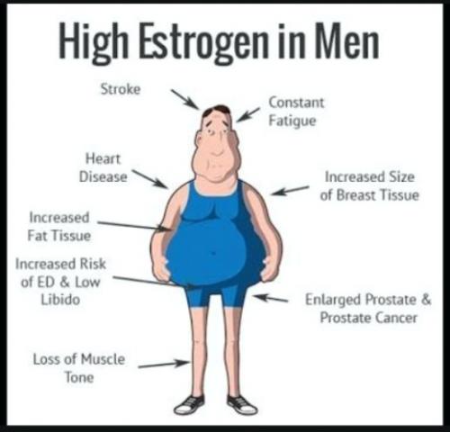 estrogen men DFH