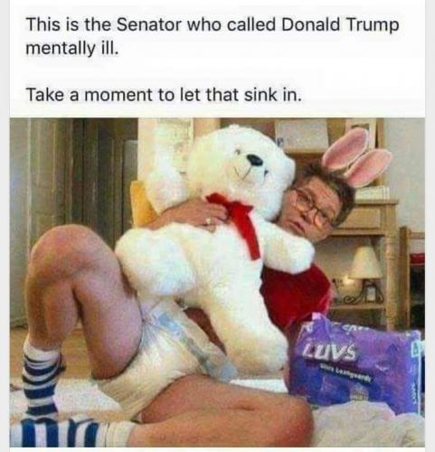 Mentally Ill