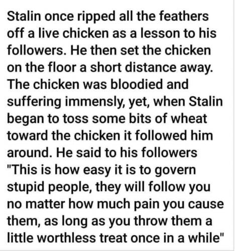Stalin ideology 97671951_4101018896605492_8073550622462312448_n