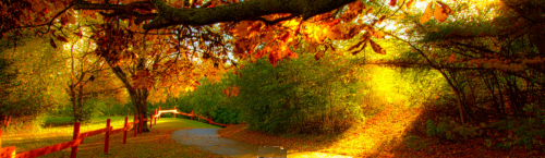 fall espetacular partial clean