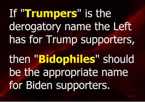 Trumpers vs Bidophiles