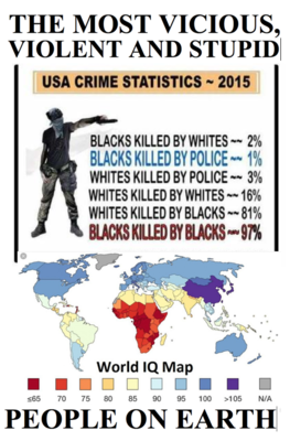 Us Crime Statistics