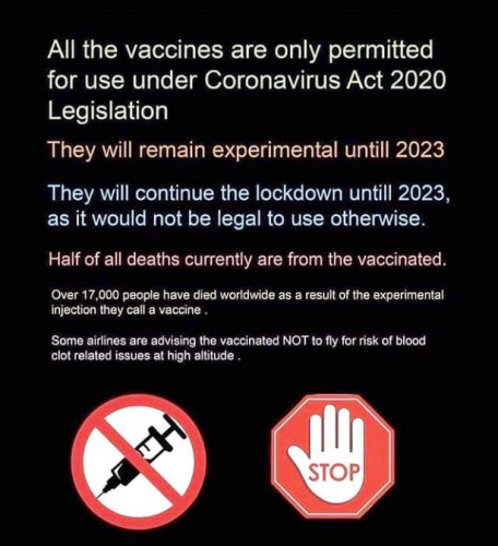 Experimental vaccine
