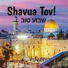 shavua tov i 178