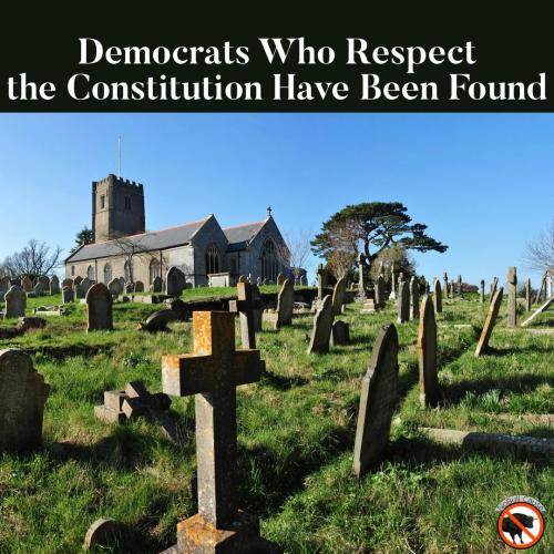 _01demsfound