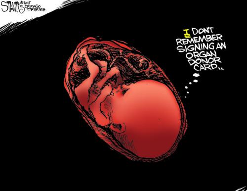 Abortion_DonorCard