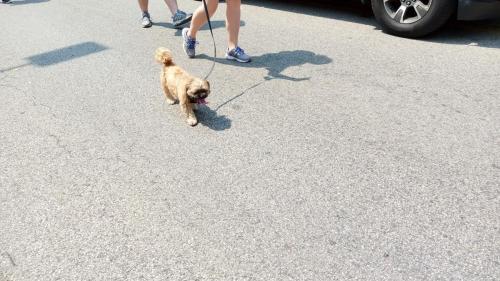 IMG_20210704_112616