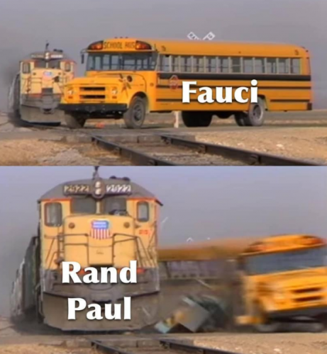 fauci - rand paul