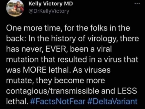 Viral Mutations