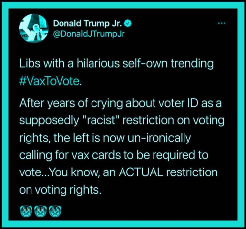 Restricting voting rights