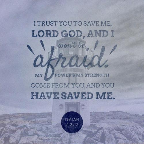 save-image