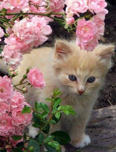 FB_IMG_1629184138730