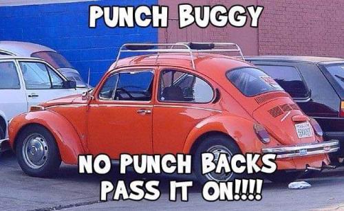 FB_IMG_1629073695702