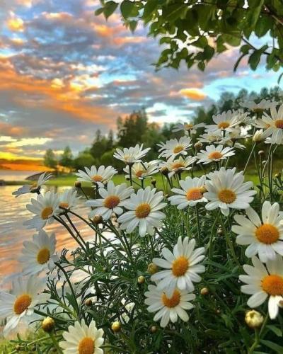 FB_IMG_1629619148006