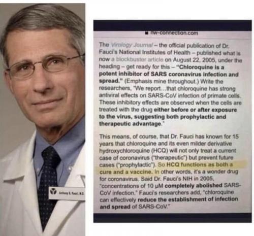 Fauci and Chloroquine2