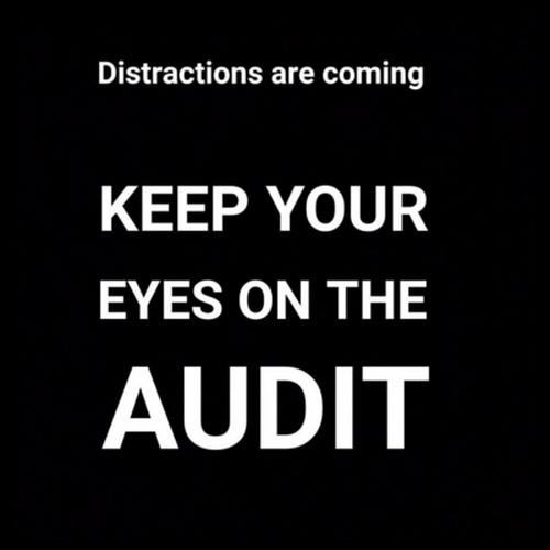 The Audit