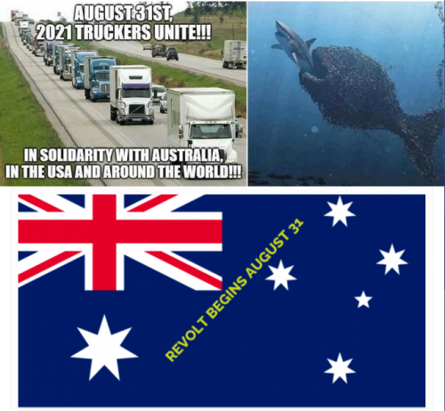 August31st2021_TruckersRevolt