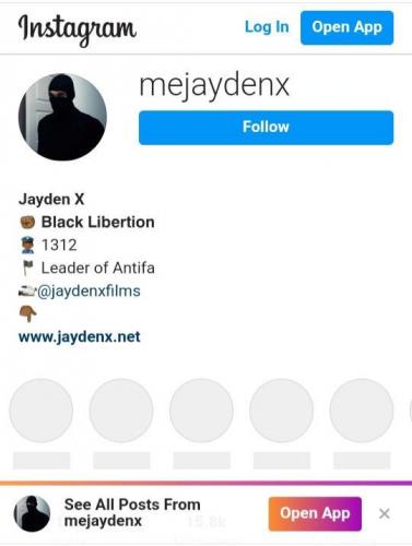 Antifa and the Insurrestion