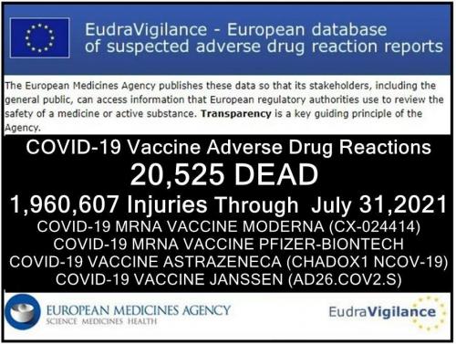 European Medicines Agency 20,525 dead
