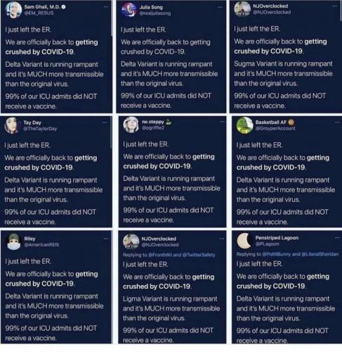 Bots on Twitter