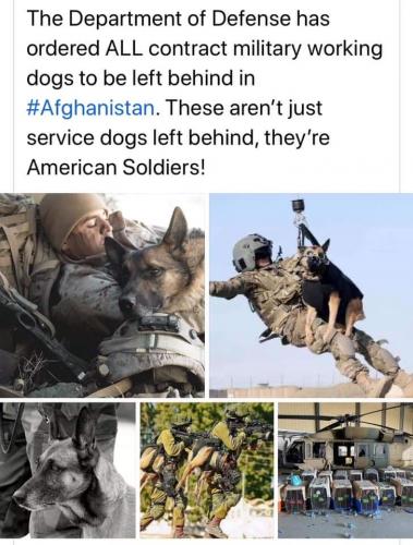 FB_IMG_1630447920186
