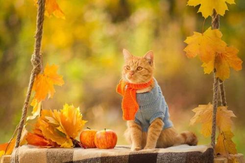 FB_IMG_1631457694443